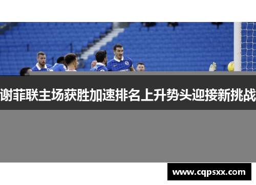 谢菲联主场获胜加速排名上升势头迎接新挑战