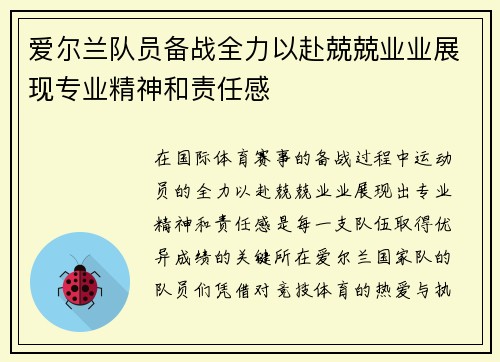 爱尔兰队员备战全力以赴兢兢业业展现专业精神和责任感