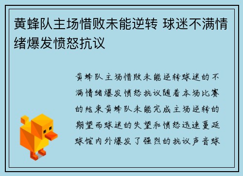 黄蜂队主场惜败未能逆转 球迷不满情绪爆发愤怒抗议