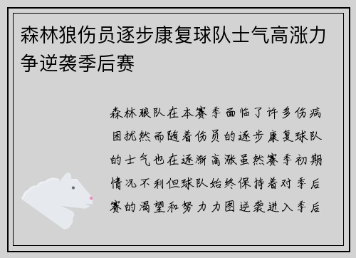 森林狼伤员逐步康复球队士气高涨力争逆袭季后赛
