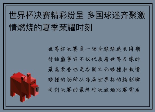 世界杯决赛精彩纷呈 多国球迷齐聚激情燃烧的夏季荣耀时刻